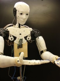 Inmoov-The-First-Humanoid-Robot-That-You-Can-Print-At-Home-14